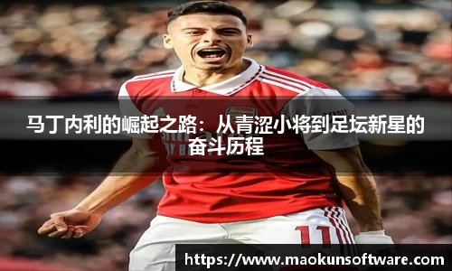 马丁内利的崛起之路：从青涩小将到足坛新星的奋斗历程
